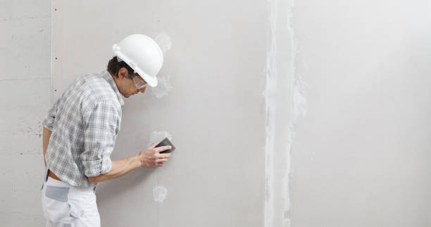 Best Drywall Removal and Disposal  in Morris, IL