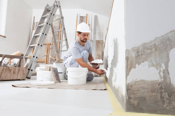 Best Fire-Damaged Drywall Repair  in Morris, IL